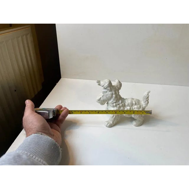 White Scottish Terrier Figurine in Porcelain from Schaubach Kunst, 1950s For Sale - Image 8 of 10