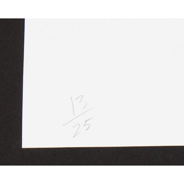 1988 “Garden” Serigraph Print by Roger Benedetti For Sale In Indianapolis - Image 6 of 8