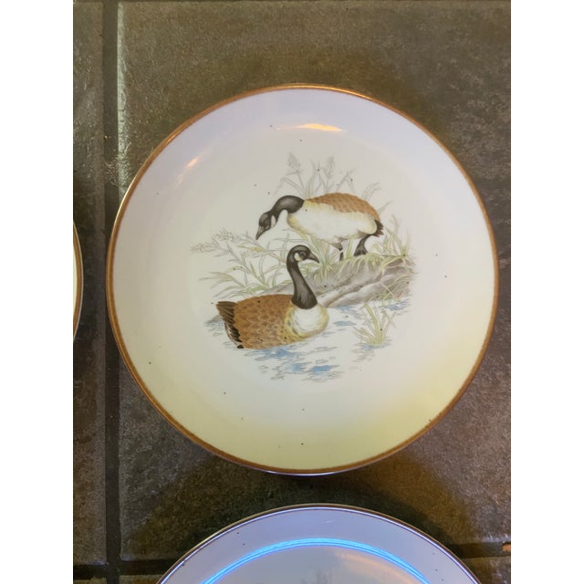 1970s Vintage Andrea by Sadek Wild Game Bird Plates, Japan - Set of 4 For Sale - Image 5 of 11