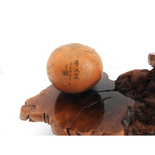 Wood Mid-Century Organic Burl Wood Pedestal Stand & Fine Etched Pyrography Gourds - Set of 3 For Sale - Image 7 of 18