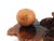 Wood Mid-Century Organic Burl Wood Pedestal Stand & Fine Etched Pyrography Gourds - Set of 3 For Sale - Image 7 of 18