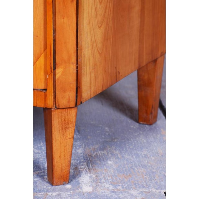 Biedermeier Cabinet in Cherry, Spruce & Ebony, Czech, 1820s For Sale - Image 10 of 18