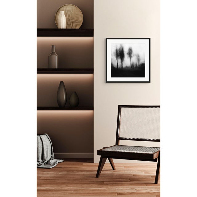 20" X 20" 'Blurred Landscape' #1 Framed Original Black and White Photography For Sale - Image 4 of 6