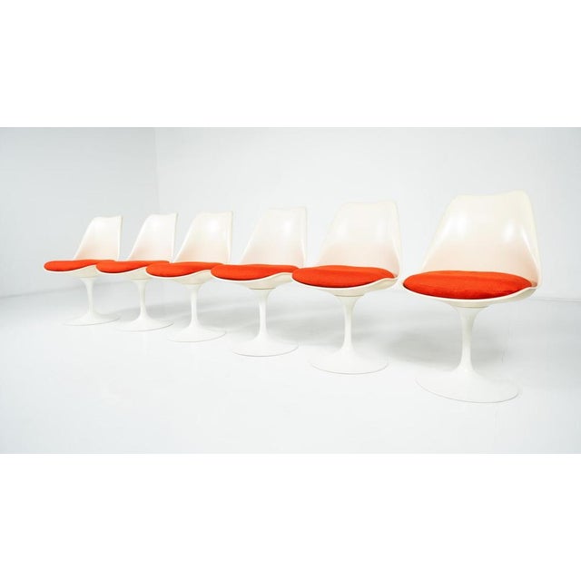Textile Tulip Chairs by Eero Saarinen for Knoll, 1960s, Set of 6 For Sale - Image 7 of 17