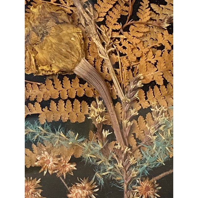 Set of 4 Hand Crafted Framed Pressed Flower Art/Wall Decor For Sale - Image 9 of 12