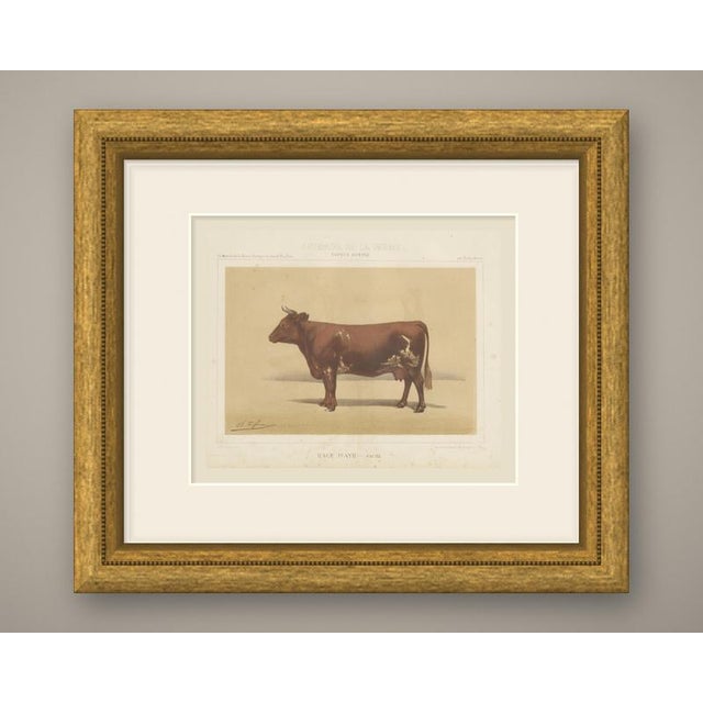 This is an original antique chromolithograph, printed in color from several lithographic stones, from victor borie's...