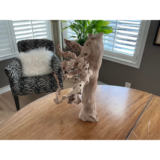 Interesting and sizable natural wood/branch sculpture. Beautiful on its own but would also be darling used as a display...