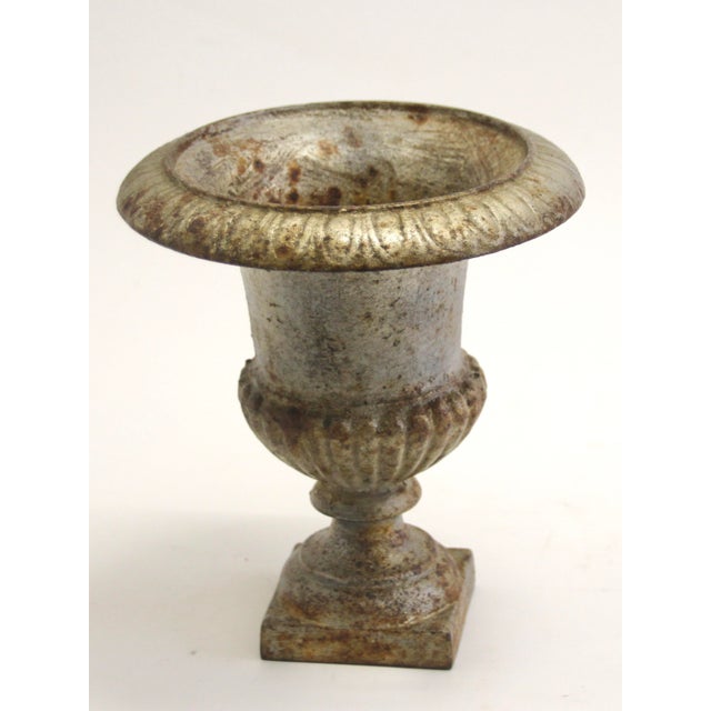 Small Vintage French Cast Iron Urn Planter, 1920s For Sale - Image 3 of 8