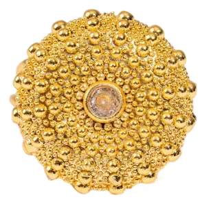 Celestial Sunburst Gold Adjustable Ring, Size 4
