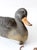 Vintage 1970s Victor Mallard Hen Duck Decoy With Weight For Sale - Image 11 of 14