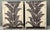 Vintage Irving and Casson Pair of Tall Chests - A Pair For Sale - Image 14 of 14