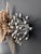 Plastic Vintage Pistillo Wall Lights by Studio Tetrarch for Valenti Luce, 1970, Set of 4 For Sale - Image 7 of 10