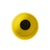 2020s Holland Daffodil Tall Vase For Sale - Image 5 of 11