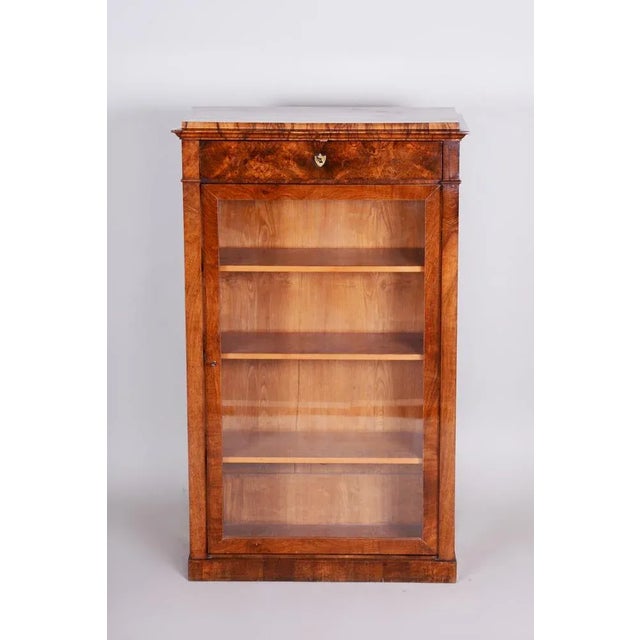 Biedermeier Display Bookcase, Walnut, Czech, 1830s For Sale - Image 6 of 7