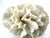 A striking pair of vintage lucite bookends showcasing sculptural natural coral specimens, beautifully suspended within...