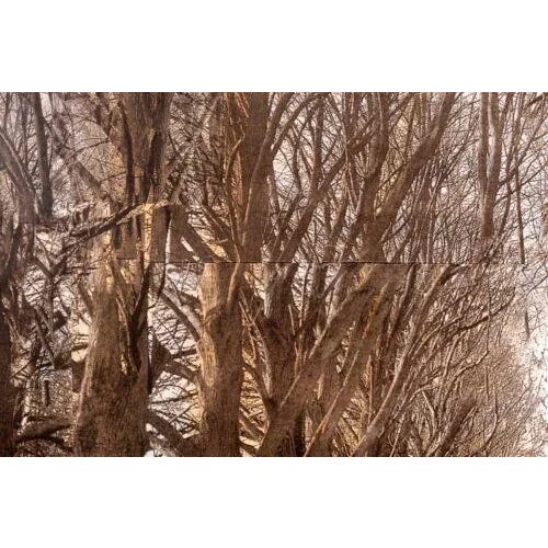 2000 - 2009 Esteban Chavez Allee Alley of Trees Signed Hand Colored Lithograph on Paper For Sale - Image 5 of 12