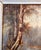 Wood 19th Century American Hudson River School Painting of Birch Tree Attributed to Julie Hart Beers For Sale - Image 7 of 15