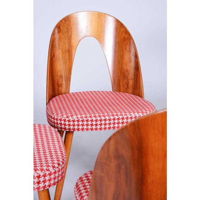 Mid-Century Dining Chairs attributed to Antonín Šuman in Beech & Walnut, Czech, 1950s, Set of 4 For Sale - Image 11 of 11