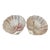 Pair of Sterling Silver Shell Dishes For Sale