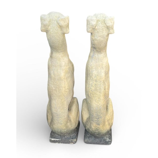 2000 - 2009 Pair of Cast Stone Seated Greyhound Garden Statues For Sale - Image 5 of 9