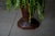 Large Vintage Brazilian Planter, 1960s For Sale - Image 3 of 5