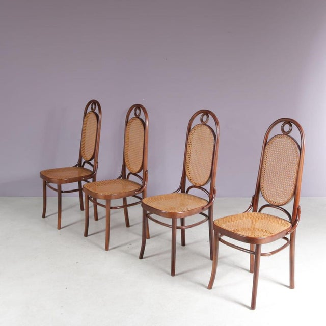 Long John Chairs from FMG, Poland, 1950s, Set of 4 For Sale - Image 3 of 9