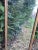 1950s Gilded Wood Floor Mirror, 1950s For Sale - Image 5 of 11