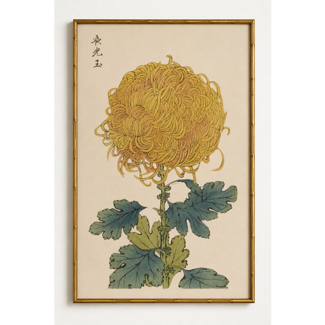 Gold Mum by Hasegawa, Vintage Japanese Botanical Art Print, 16" X 24" For Sale In Buffalo - Image 6 of 9