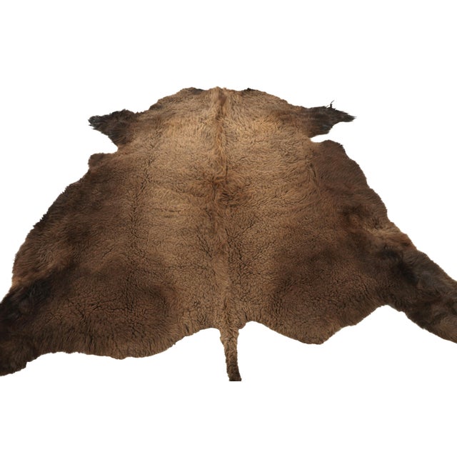2010s Rug & Kilim’s American Bison Hide Fur Rug in Chocolate Brown Tones For Sale - Image 5 of 7