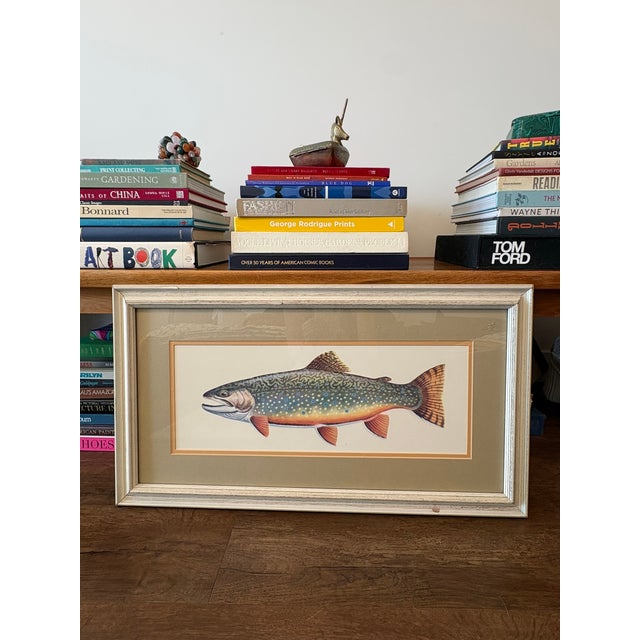 Rustic Vintage Framed Trout Fish Prints Cabin Coastal Wall Art - A Pair For Sale - Image 3 of 11
