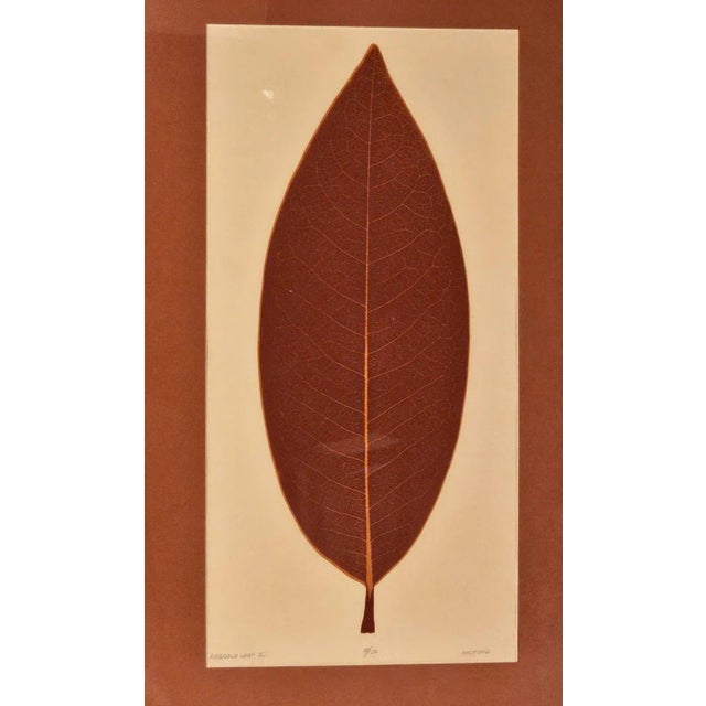 "Magnolia Leaf II", by Milford.