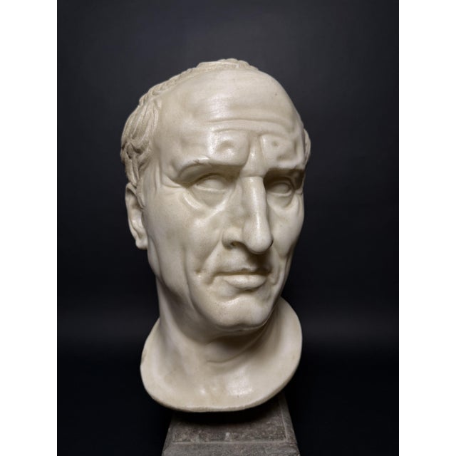 Head of Marcus Tullius Cicero, Late 18th Century, Marble For Sale - Image 5 of 18