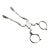 17th Century Silver Sugar Scissor Tongs For Sale