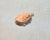 Antique Carved Coral Gold Cameo With Pearl and Diamonds For Sale - Image 4 of 9