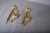 Brass Wall Sconces with Ornate Round Backplates and Pineapple Finials, 1950s, Set of 2 For Sale - Image 3 of 9
