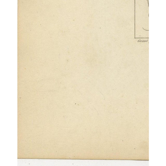 Antique Map of Seine-Et-Marne, Fontainebleau and Amyot, 1860 For Sale - Image 9 of 12