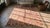 19th Century Turkish Oushak " Sivas " Flat-Weave ( 8' x 14'6" - 245 x 442 ) For Sale - Image 9 of 9