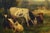 Emilio Pergola, Rural Scene with Cattle, 1990s, Oil on Canvas, Framed For Sale - Image 3 of 9