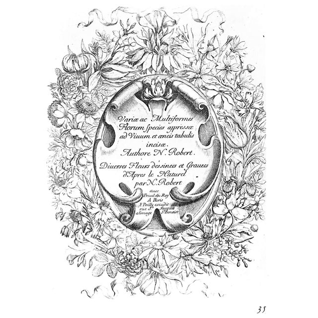 "The Treasury of Flowers" 1975 Coats, Alice M. For Sale - Image 11 of 12