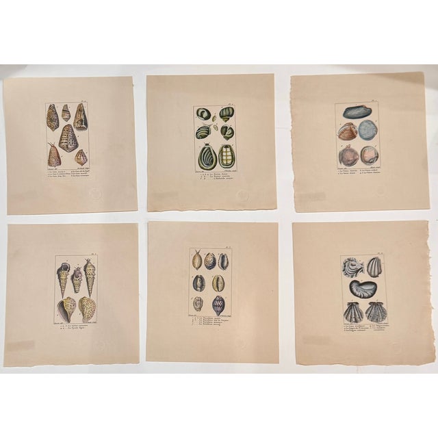 Exceptional set of six original 18th-century French hand-colored copperplate engravings from the Tableau encyclopédique et...