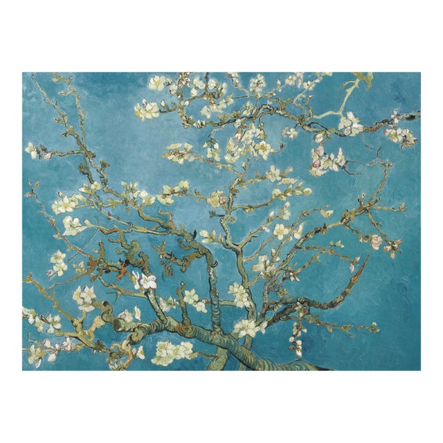Almond Blossom by Vincent Van Gogh, Post-Impressionist Reproduction Art Print, 24" × 18" For Sale