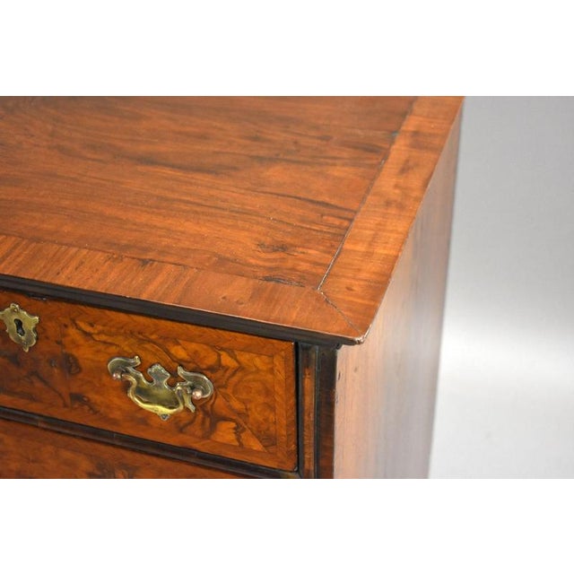 George Iii Burr Walnut Chest of Drawers, 1800 For Sale - Image 9 of 10