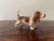 English Porcelain Basset Hound Figurine For Sale In New York - Image 6 of 13