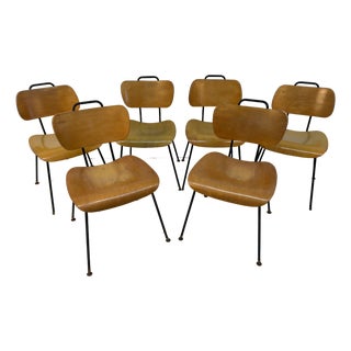 Set of Six Vintage Molded Plywood and Metal Chairs For Sale