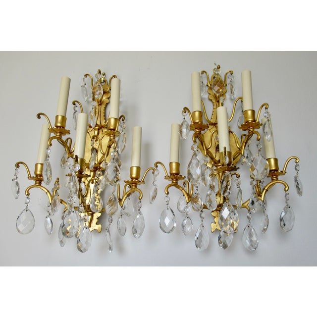 Victorian Late 19th Century French Victorian -Style, Gilded Gold & Crystal Drop 5--Candelabra Wall Light Sconces - Pair For Sale - Image 3 of 17