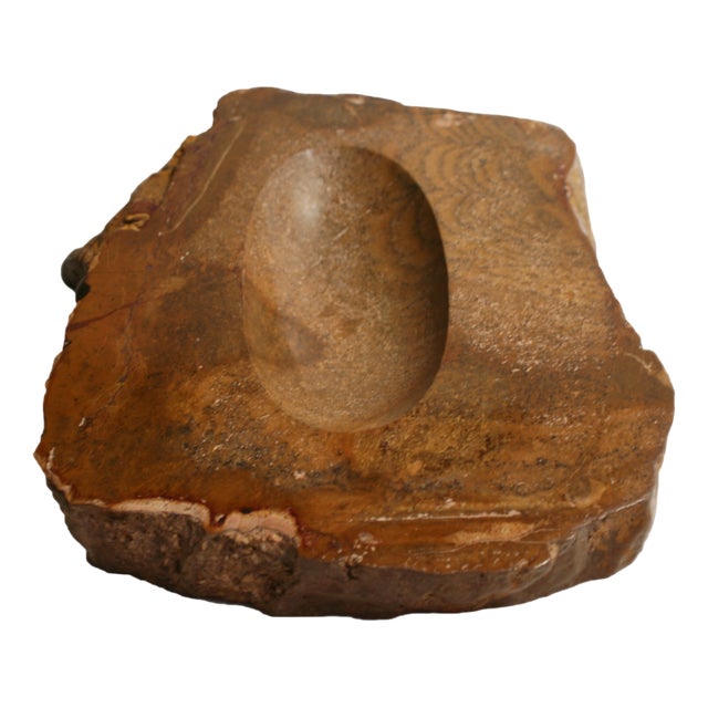 Spanish Fossil Wood Ashtray, 1970s For Sale