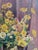 Early 20th Century Still Life Botanical Oil Painting on Canvas For Sale In Charlotte - Image 6 of 11