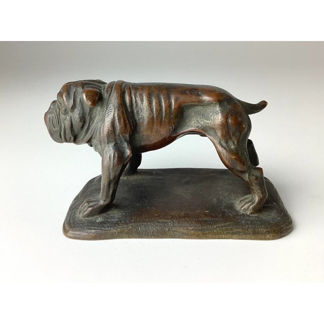 Bronze English Bulldog figurine. What a face! 3 3/4” by 2 1/4” by 2 1/4” tall. No marking.Wonderful old condition.