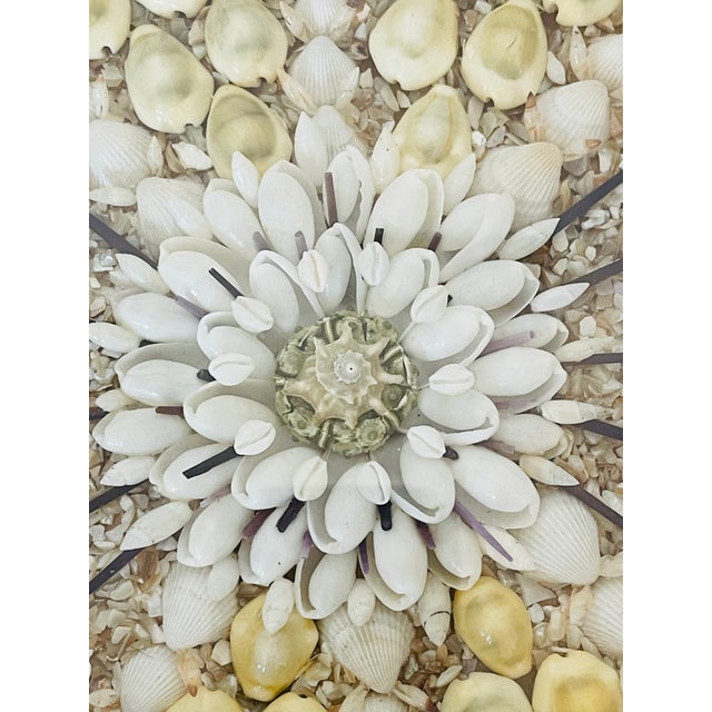 1960s Vintage Sailors Valentines Sea Shells Octagonal For Sale - Image 5 of 5