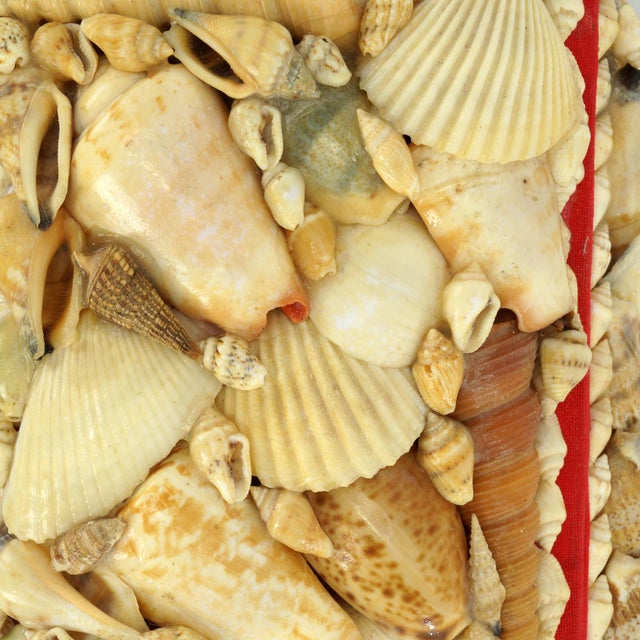 Handmade Vintage Shell Encrusted Box Red Felt Interior For Sale - Image 10 of 12